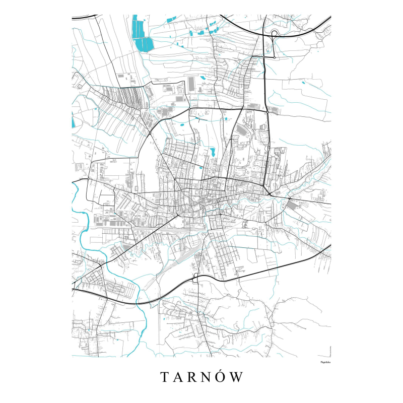 Tarnów - plakat mapa Tarnowa